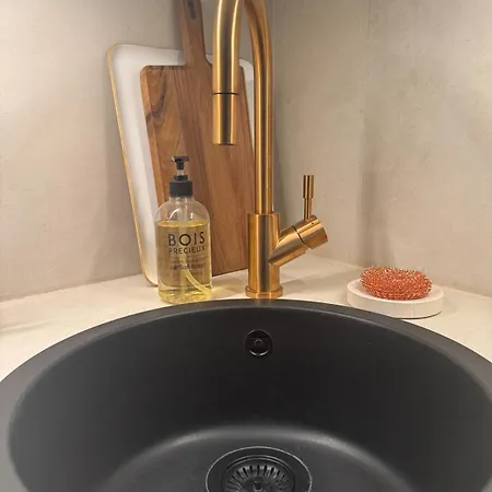 Apartment Luxury Le Marais Paris